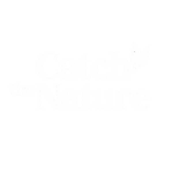 CATCH THE NATURE